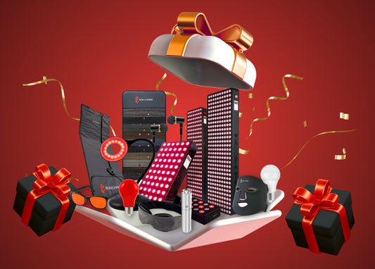 The Ultimate 2023 Holiday Gift Guide by BON CHARGE