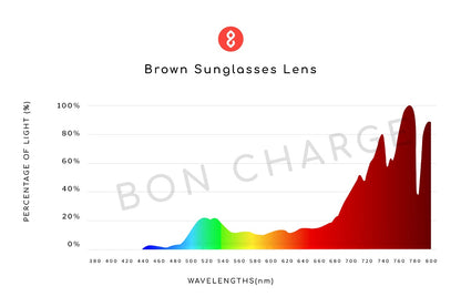 Arrow Sunglasses (Brown)