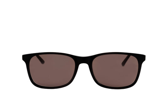 Smith Sunglasses Readers (Brown)