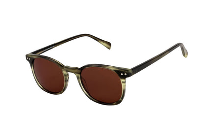 Arrow Sunglasses (Brown)