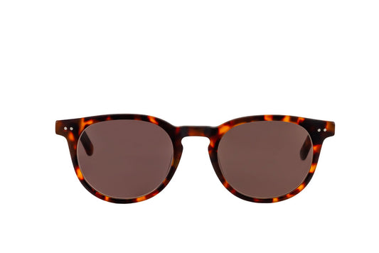 Clarke Sunglasses Readers (Brown)