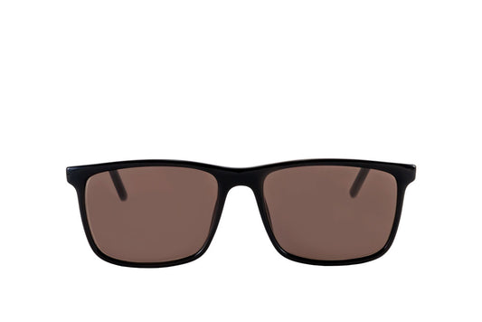 Brooklyn Sunglasses Readers (Brown)